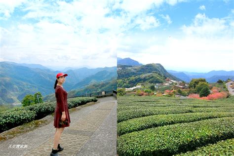 尋霧道真假|石棹霧之道、茶之道、雲之道